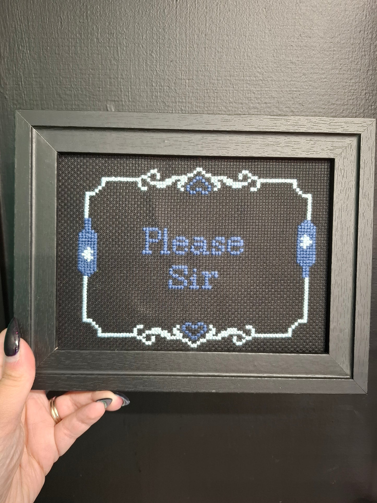 Please Framed Cross Stitch