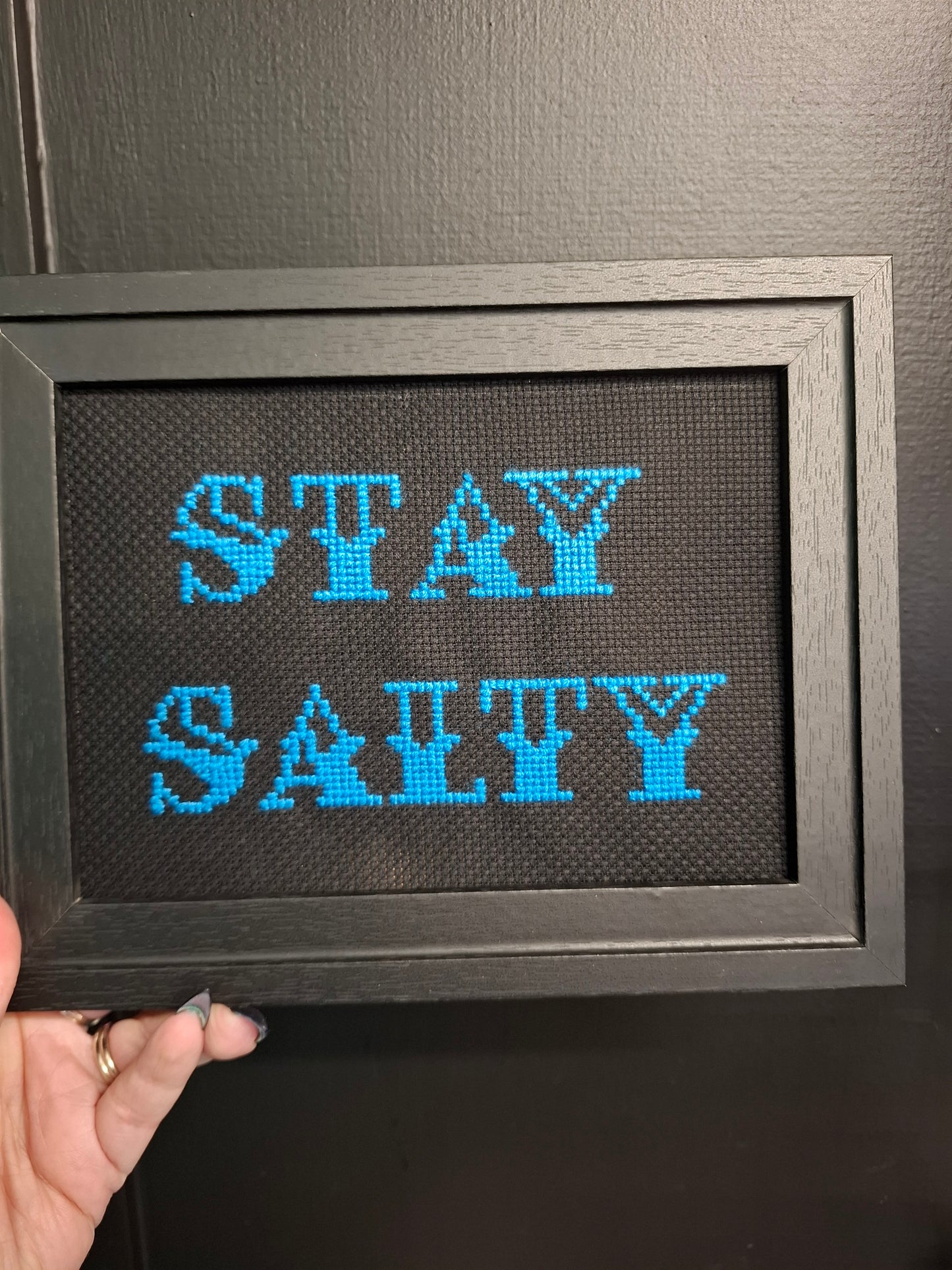 Salty Framed Cross Stitch